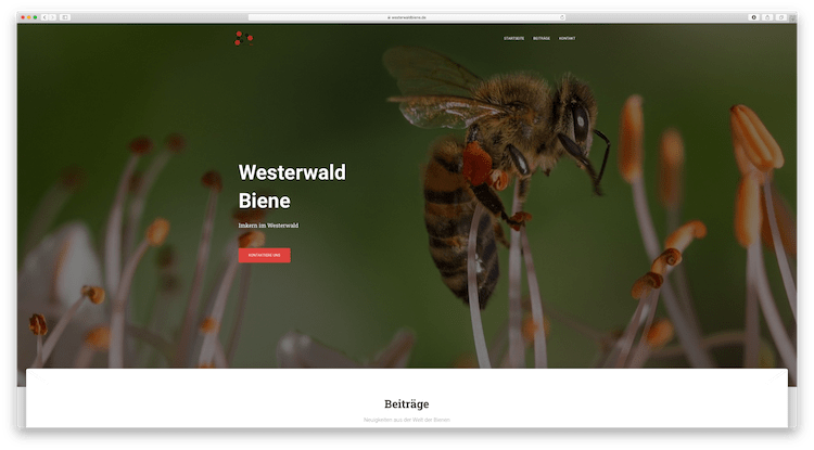 WesterwaldBiene